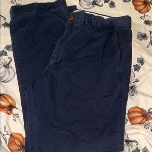Banana Republic pants